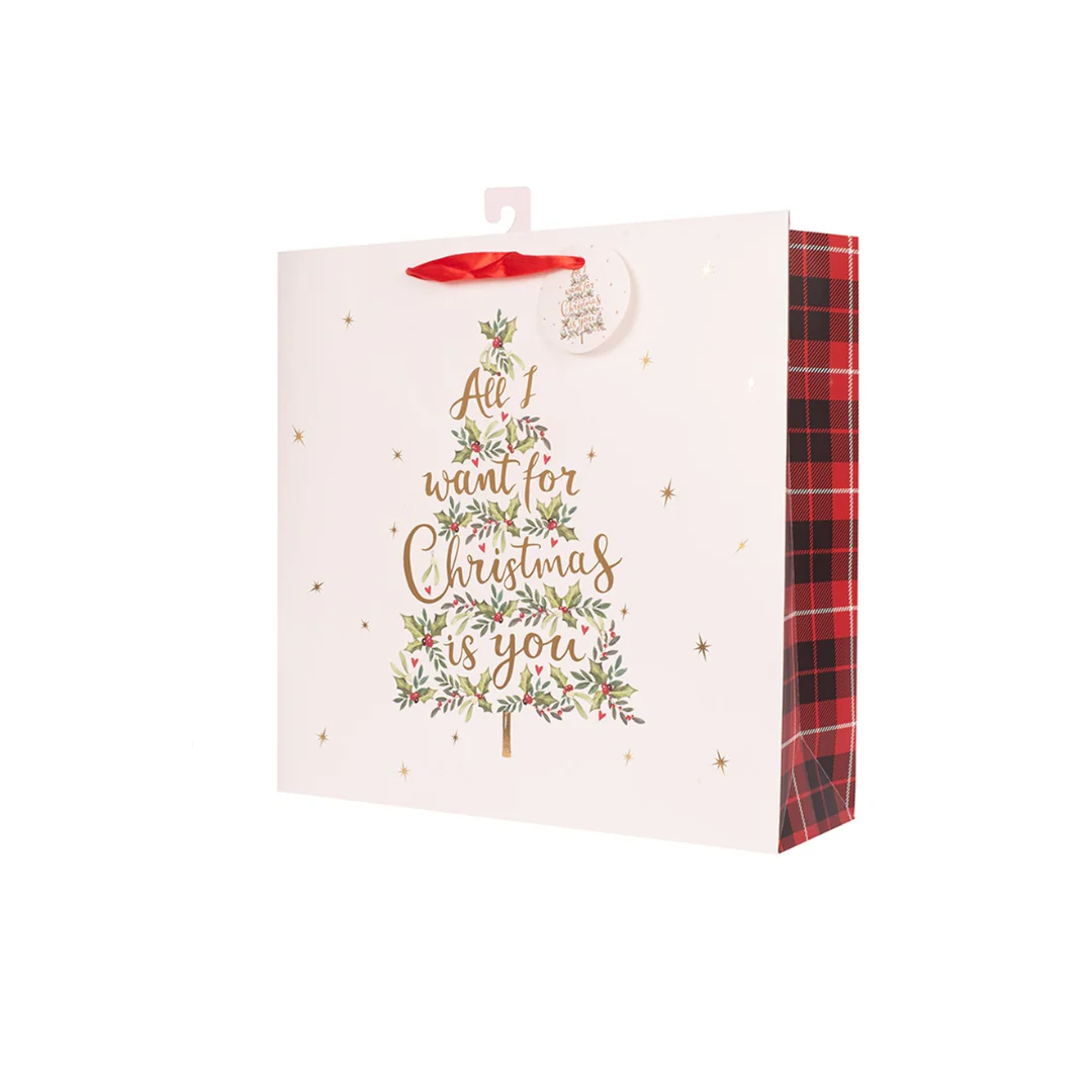 All I Want For Christmas Is You Christmas Gift Bag Small 11.1x13.7x6.2cm - Image 2