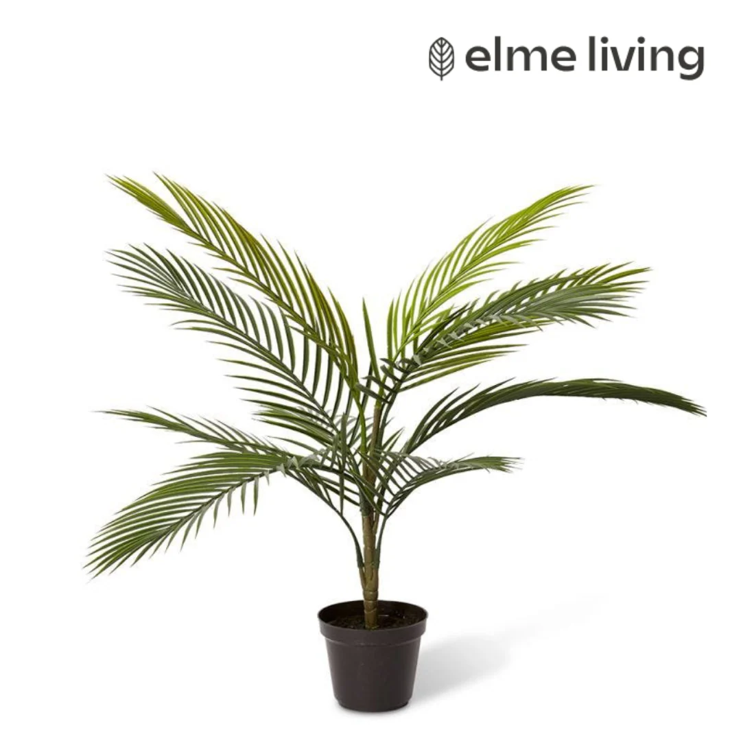 Areca Plam (Outdoor) Green 50x50x65cm