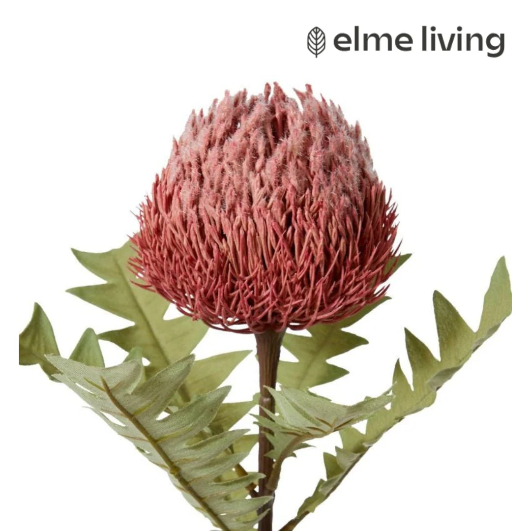 Banksia Baxteri Stem Dusty Pink 20x11x69cm - Image 2