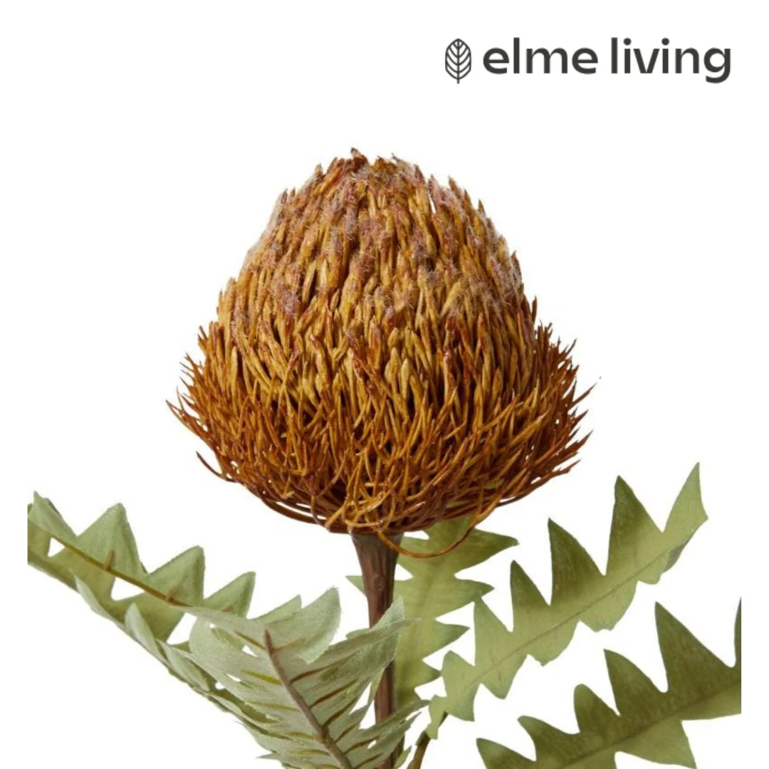 Banksia Baxteri Stem Rust 20x11x69cm - Image 2