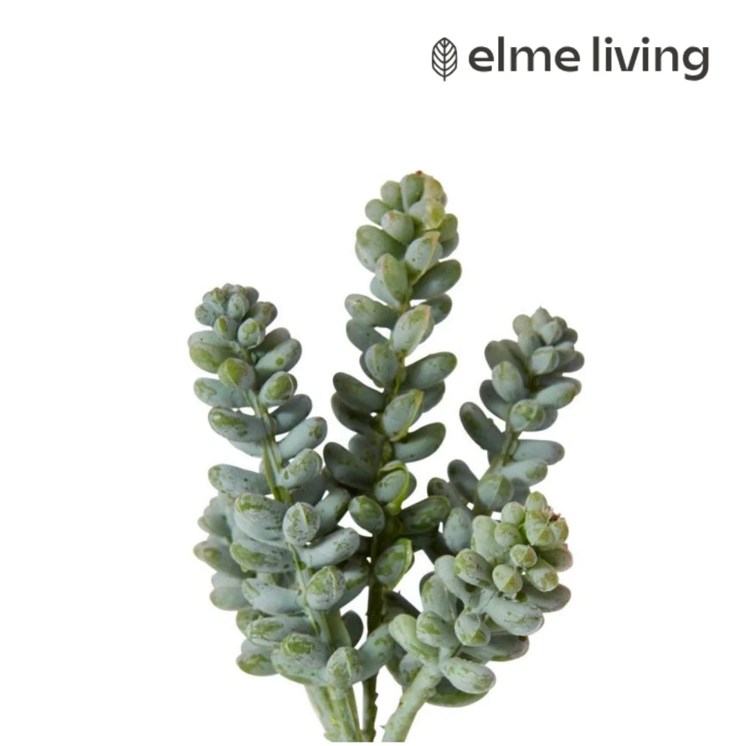 Bell Sedum Pick Green/Red 7x7x15cm - Image 2