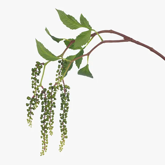 Berry Hanging Spray Green (88cml)