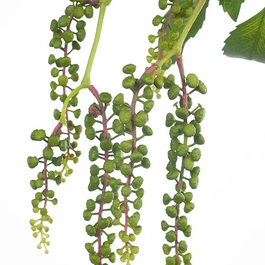 Berry Hanging Spray Green (88cml) - Image 2