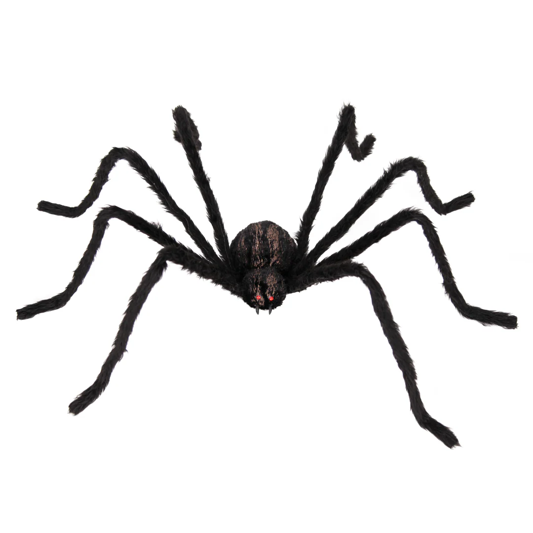 Black Spider 1.6M