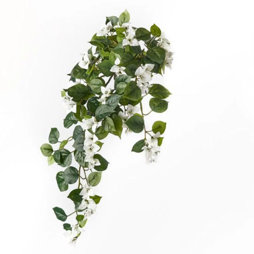 Bougainvillea Hangin... White 70cml