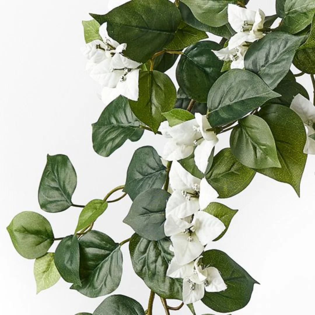Bougainvillea Hangin... White 70cml - Image 2