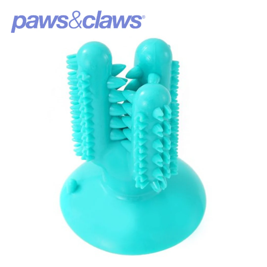 Cactus Suction Dental Treat TPR Toy 13X6X6cm - Image 4