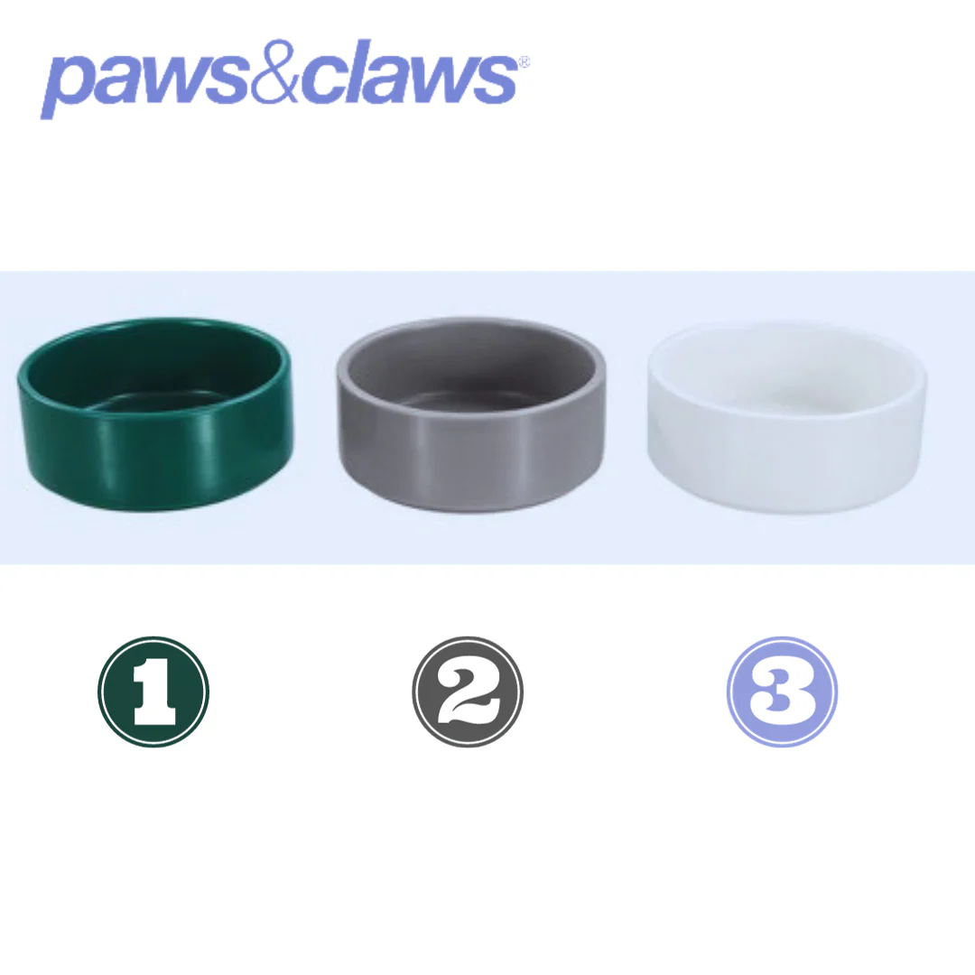 CERAMIC PET BOWL 13CM 380ML 3 ASSTD