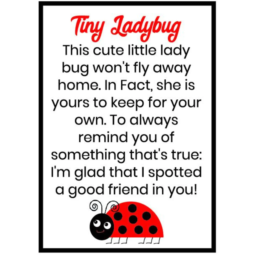 Craft Ladybugs Miniature Assorted - Image 5