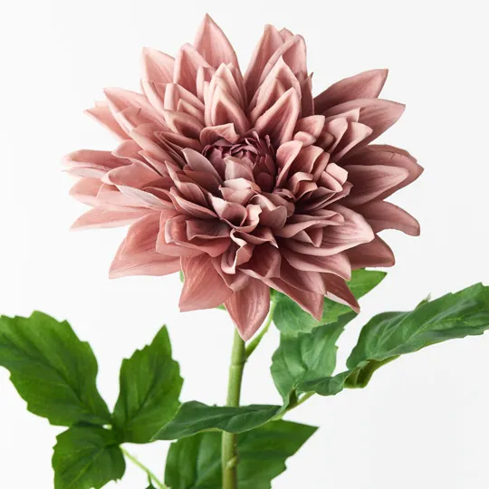 Dahlia Dusty Pink 71cml - Image 2