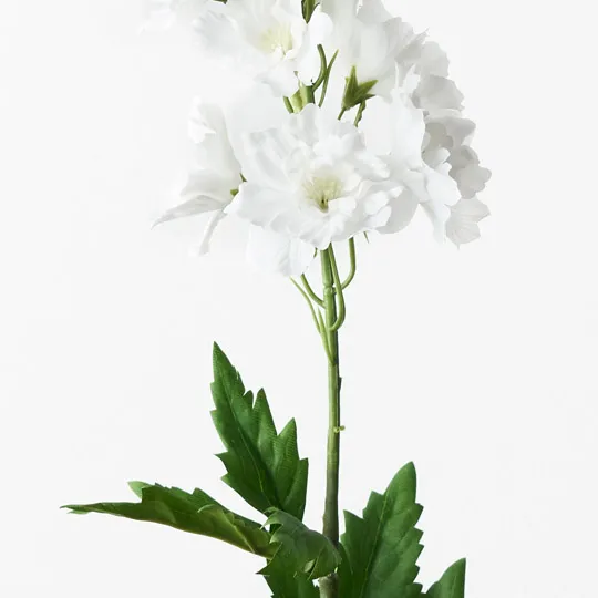Delphinium Winter White 90cml - Image 2