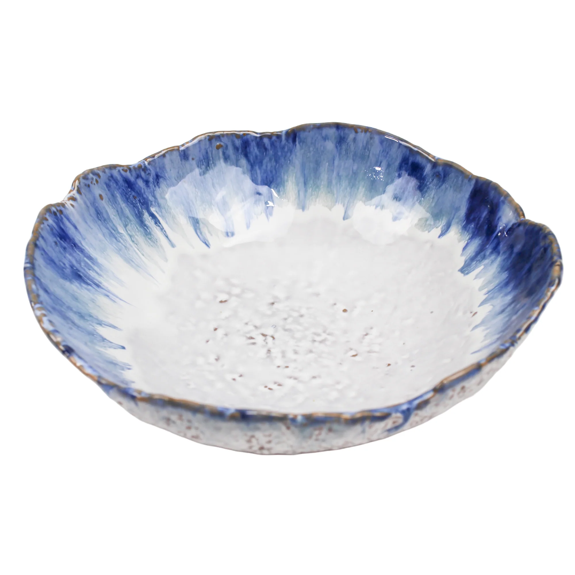 Dish-O-Licious Blue25x23