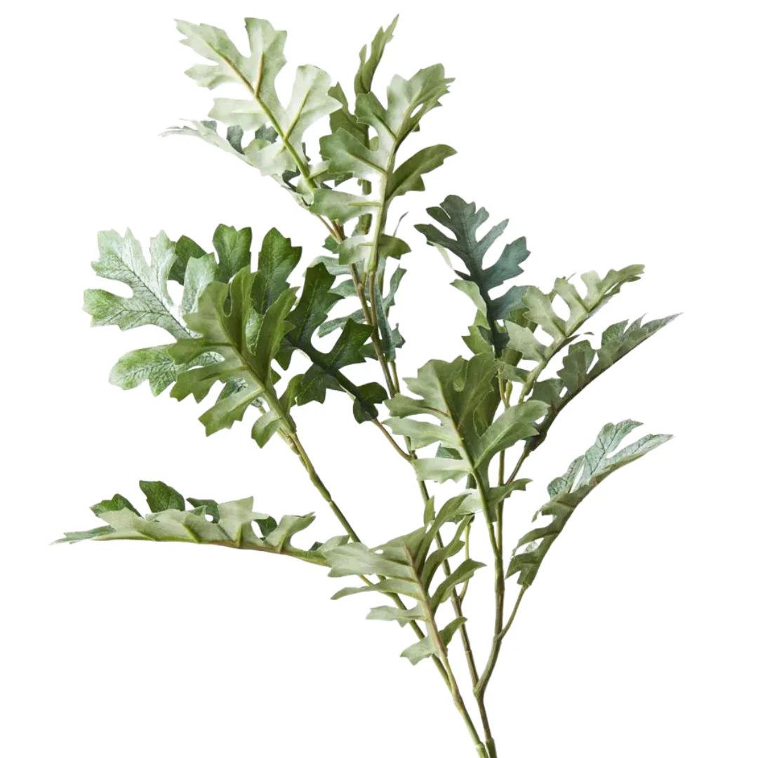 Dusty Miller Spray Grey Green 66cml