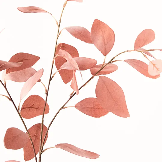 Eucalyptus Silver Dollar Dusty Pink (78cml) - Image 2