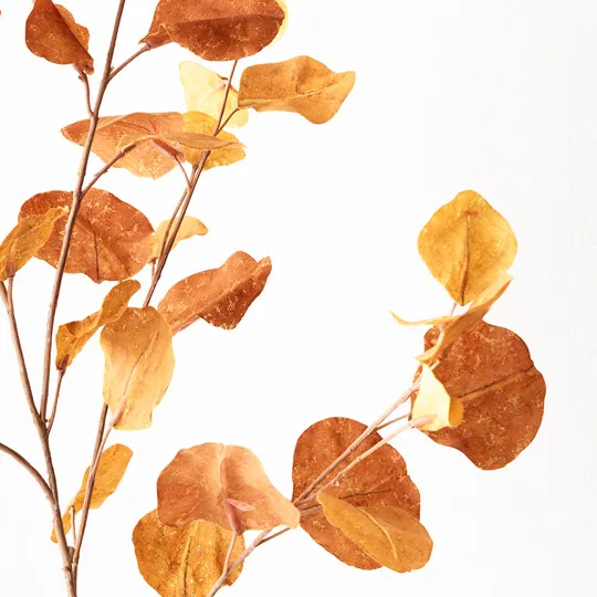 Eucalyptus Spray Mustard 96cml - Image 2