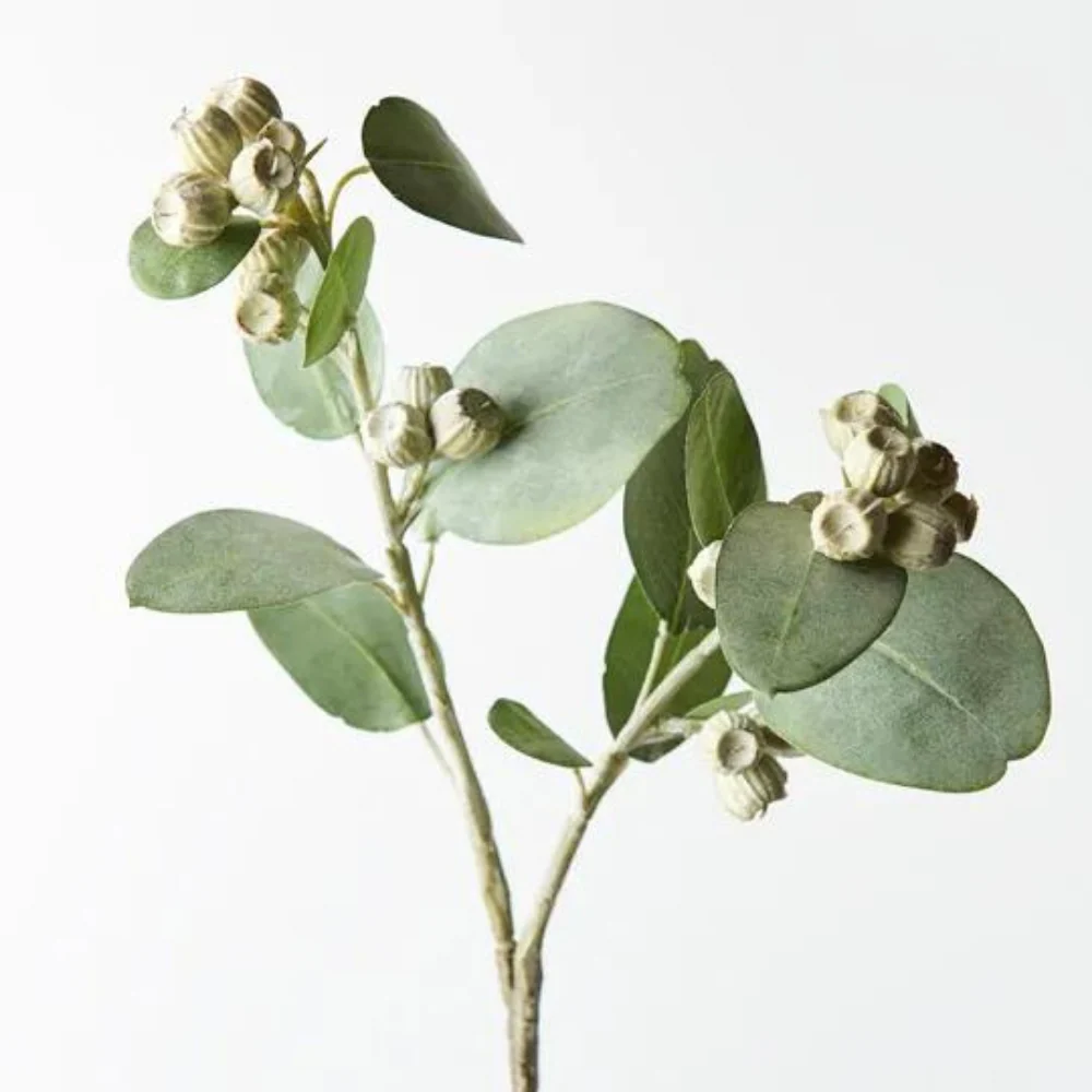 Eucalyptus Tetragona Spray Green 61cml