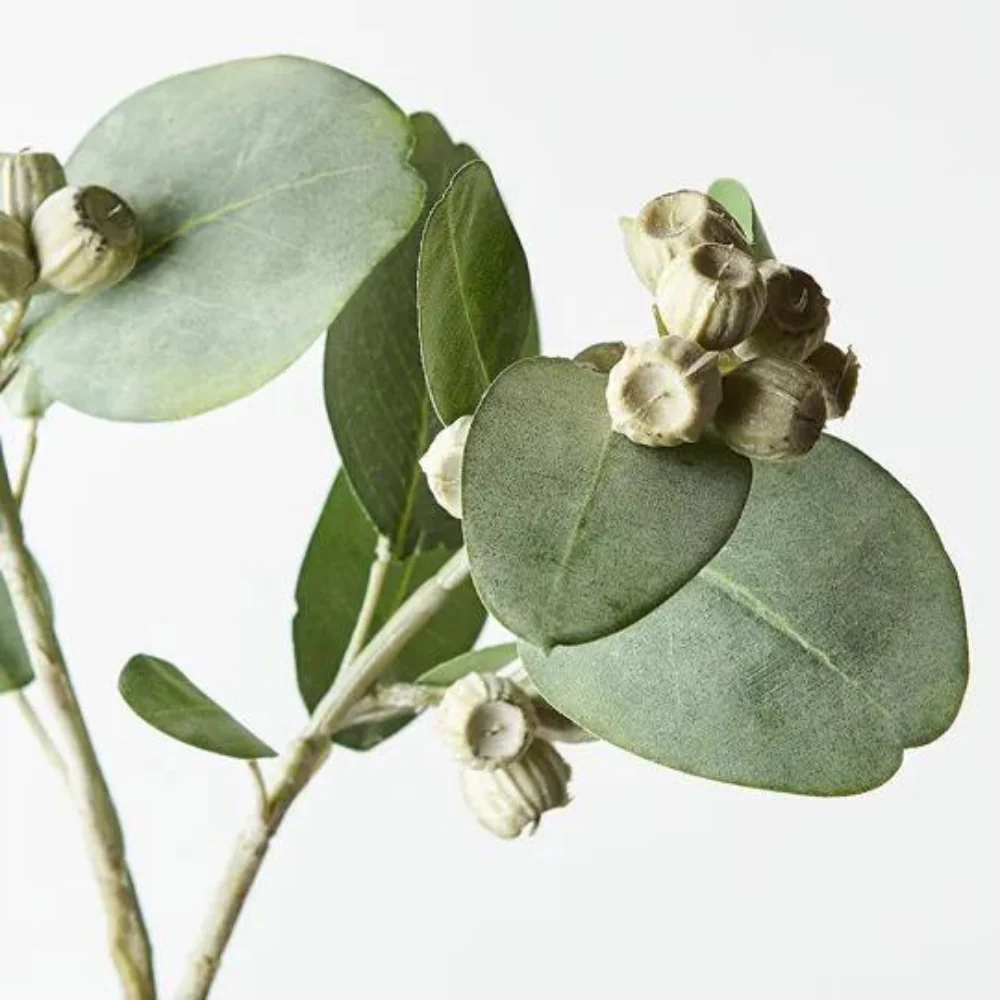 Eucalyptus Tetragona Spray Green 61cml - Image 2