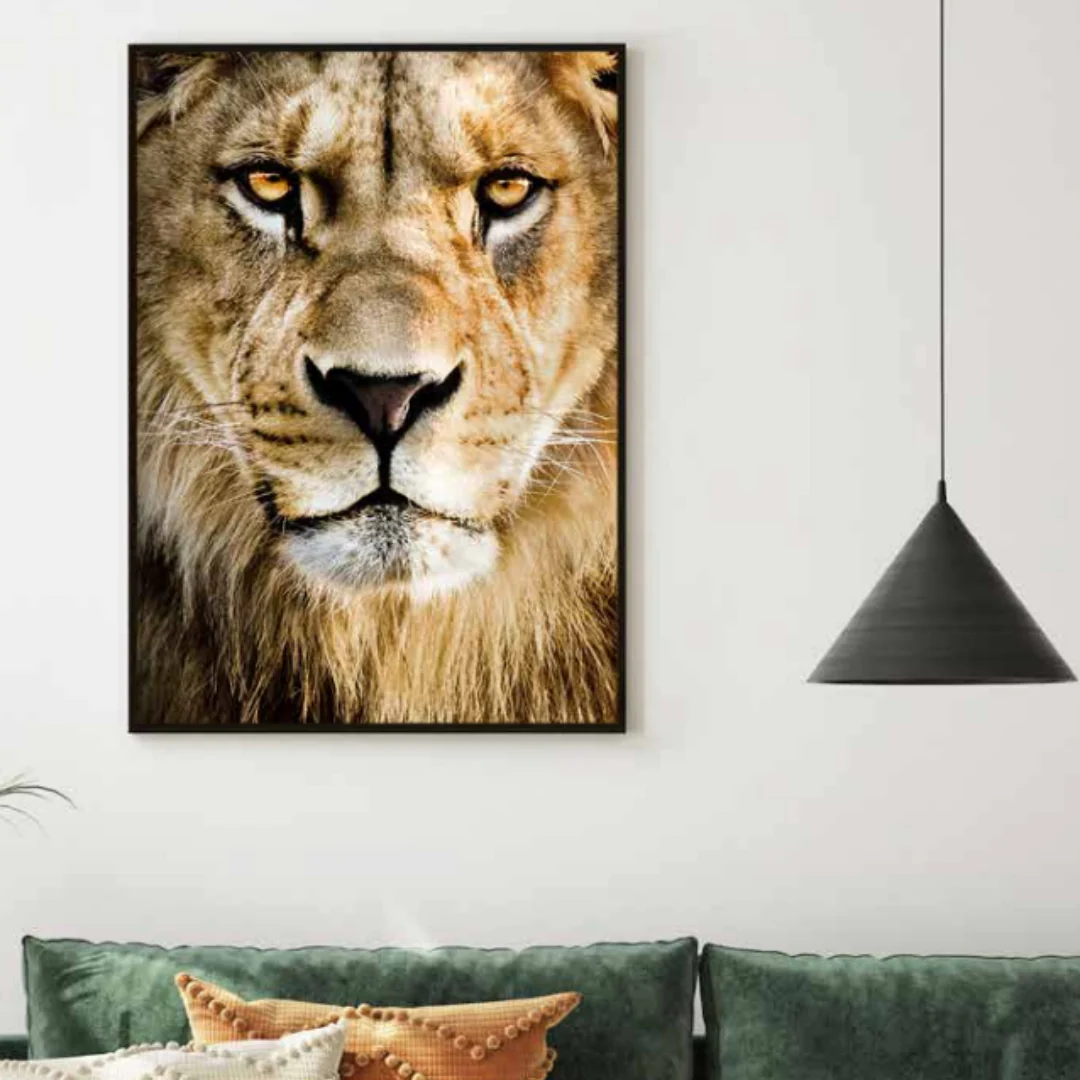 Frame Canvas Untamed 70x100cm 5x1cm Black Assorted - Image 2