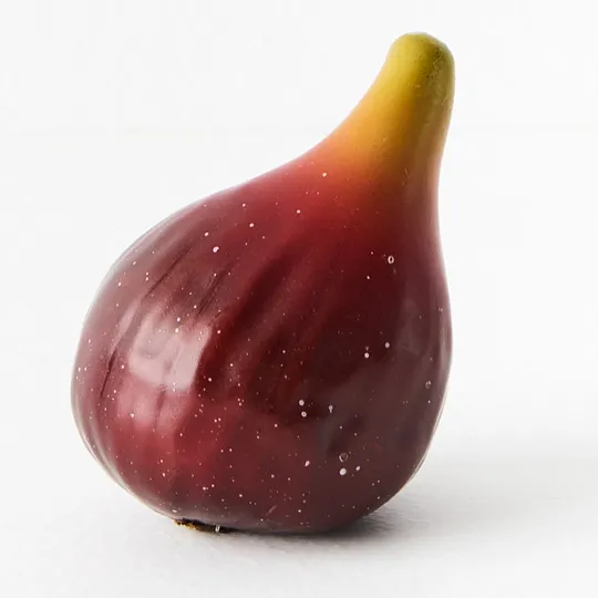 Fruit Fig Burgundy 9cml - Image 2