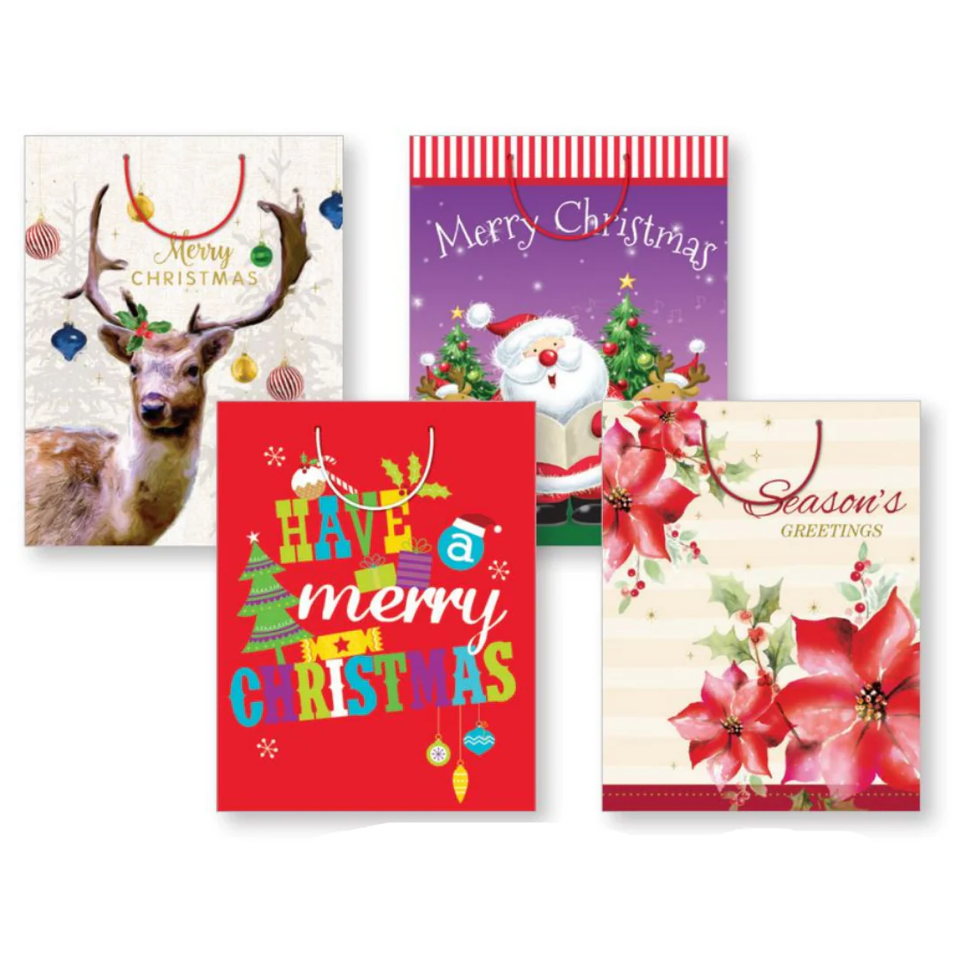 Bag Large Xmas Asst Designs