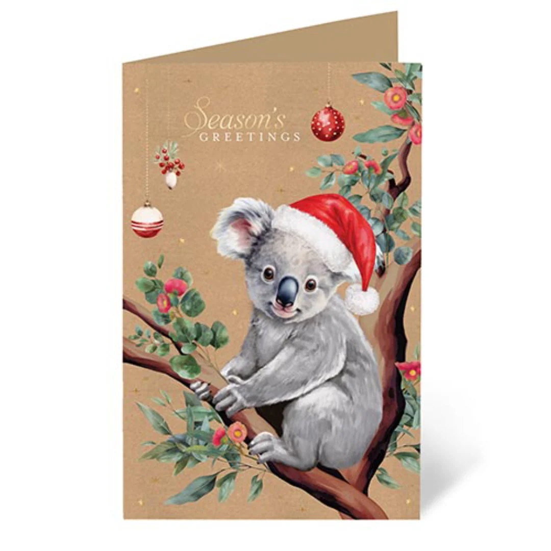 FSC Mix Card Boxed 10pk Salvo Koala
