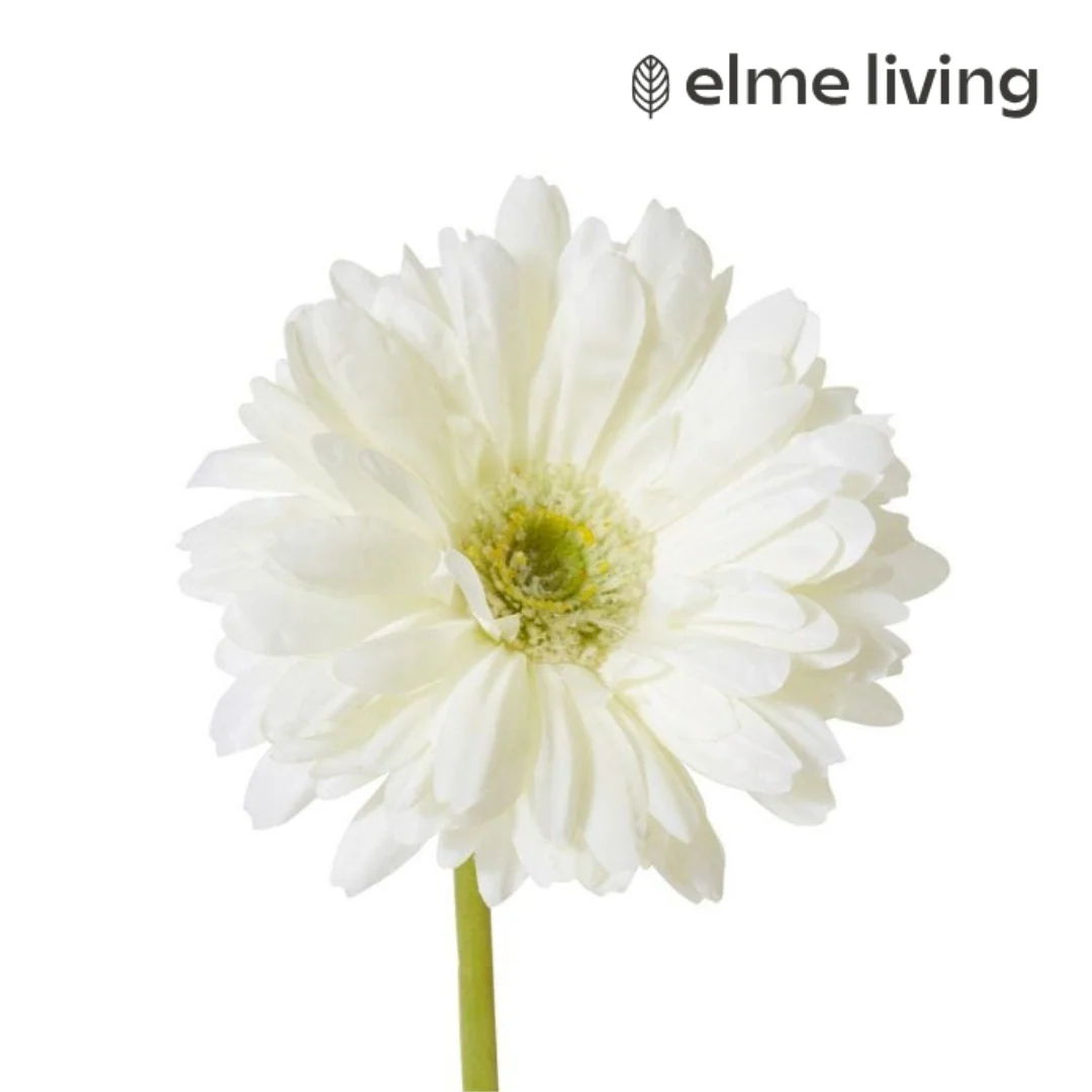 Gerbera Daisy Stem Off White 13x13x53cm - Image 2