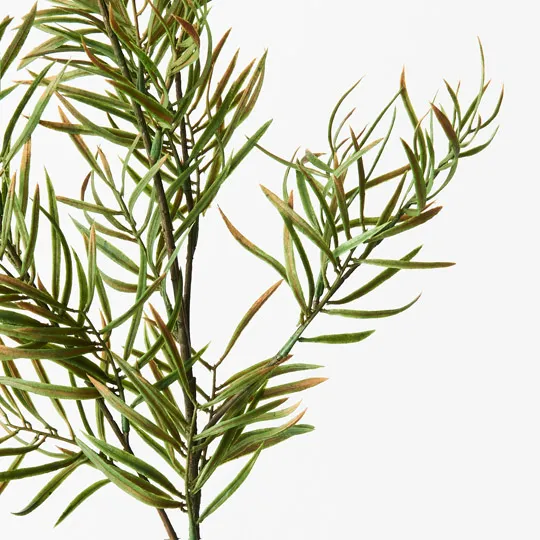 Grevillea Leaf Spray Green 81cml - Image 2