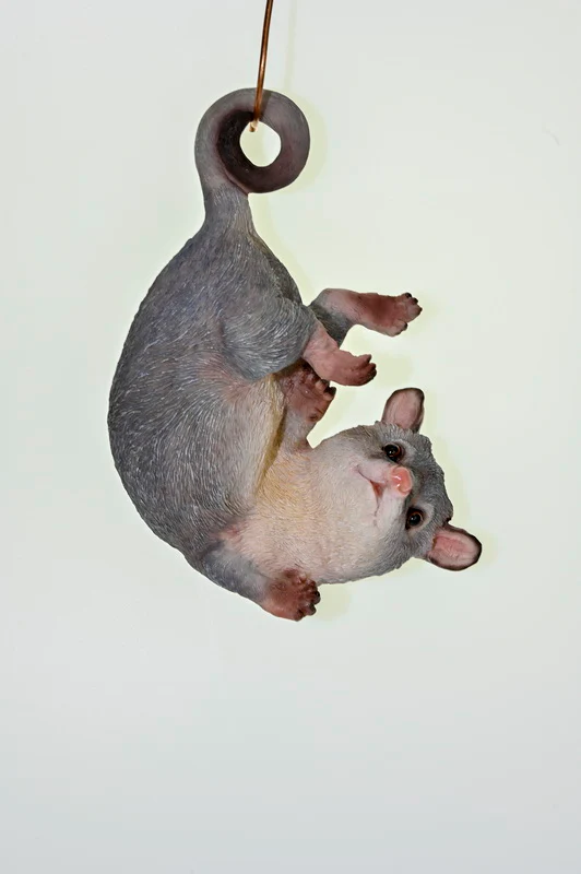 Hanging Ringtail Possum 53cm