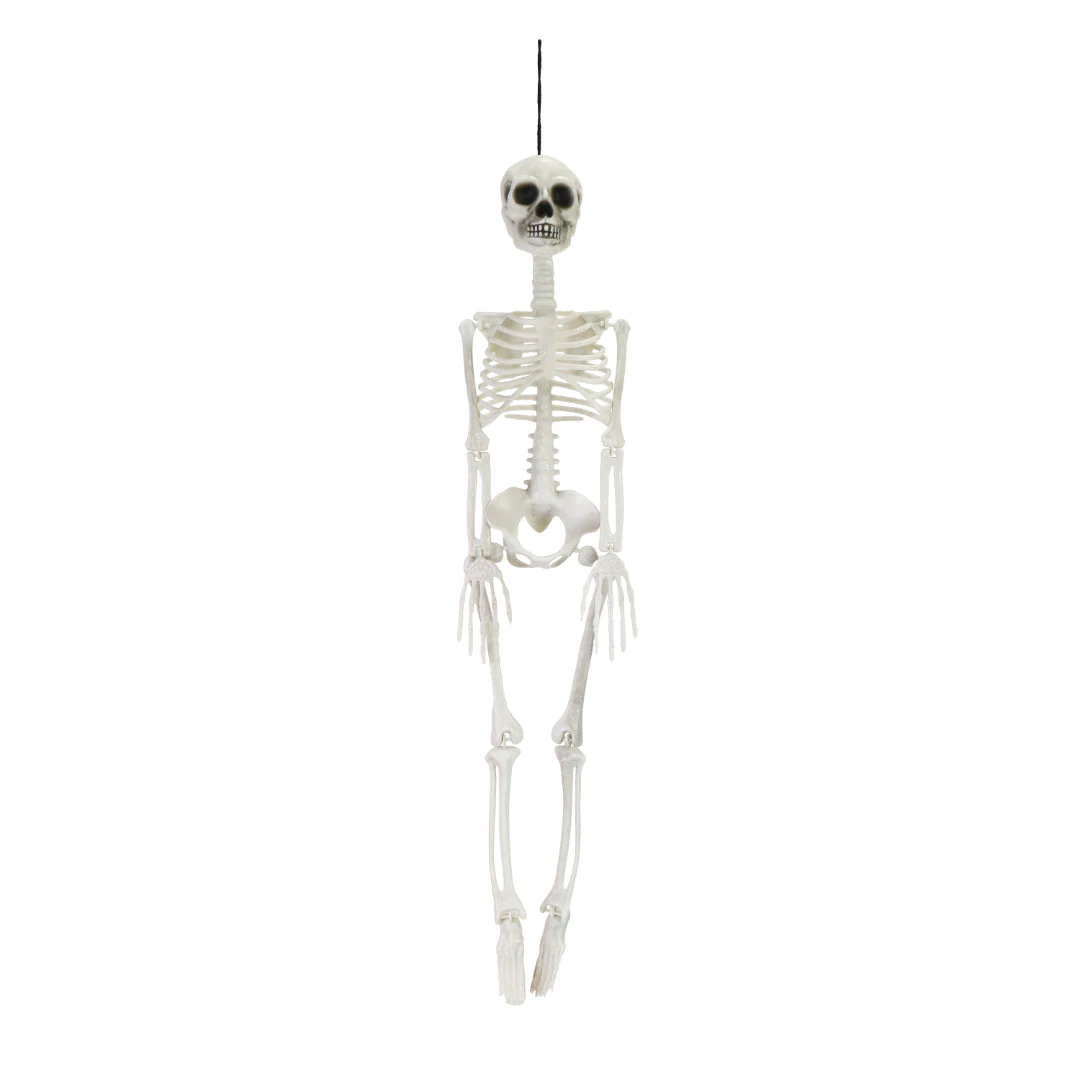Hanging Skeleton 80cm