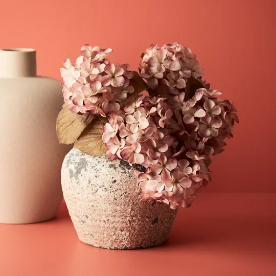 Hydrangea Bush Dusty Pink Cream ... - Image 3