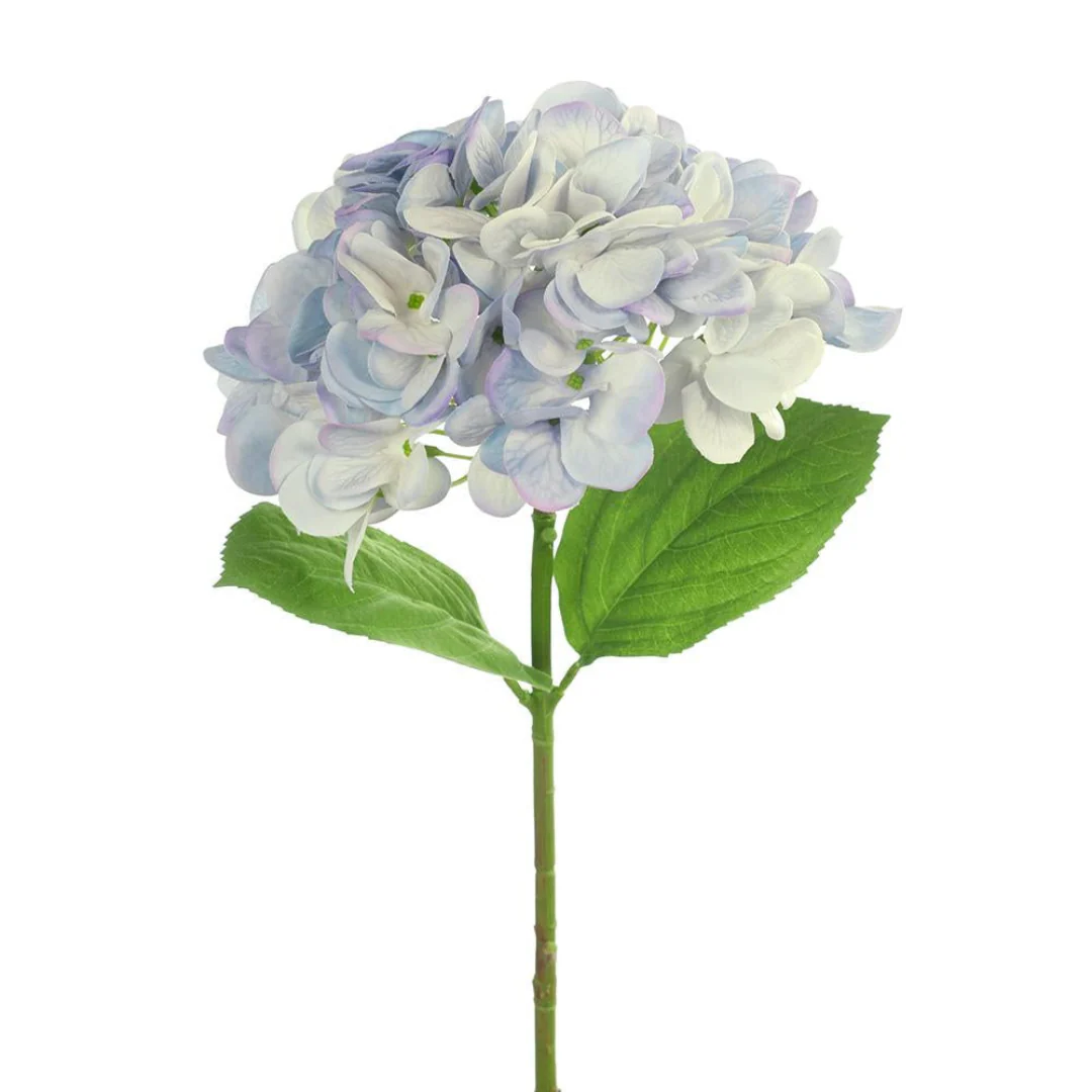 Hydrangea French Blue 47cml