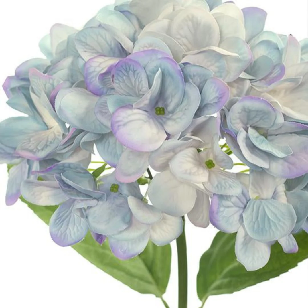 Hydrangea French Blue 47cml - Image 2