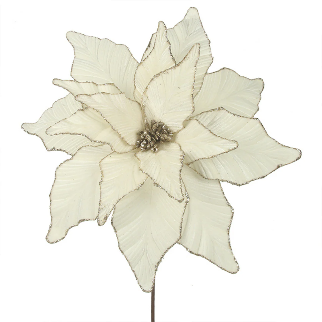 Ivory Poinsettia with Champagne Glitter Edge 45cmD with 50cm Stem 16 Leaves