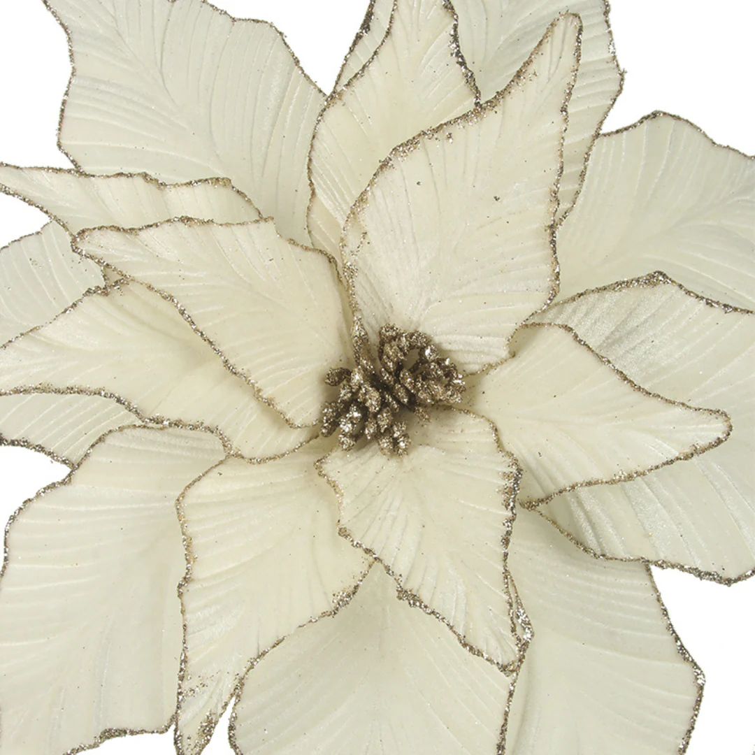 Ivory Poinsettia with Champagne Glitter Edge 45cmD with 50cm Stem 16 Leaves - Image 2
