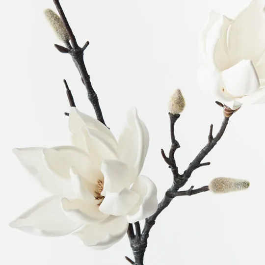 Magnolia Japanese Spray White 79cml - Image 2