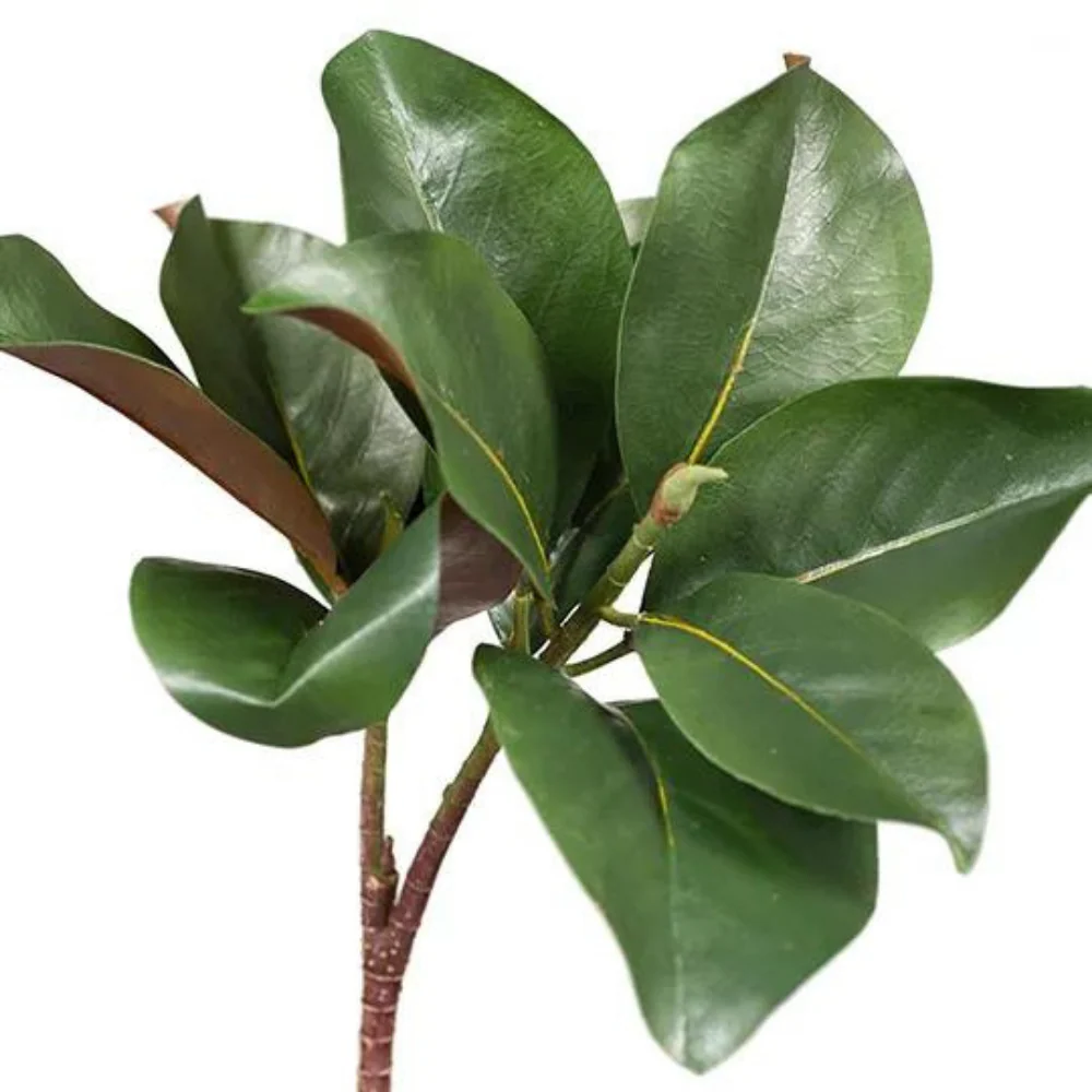Magnolia Leaf Spray Green (83cml) - Image 2