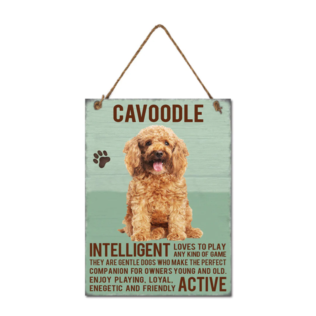 Metal Cavoodle Wall Hanging 20x27cm