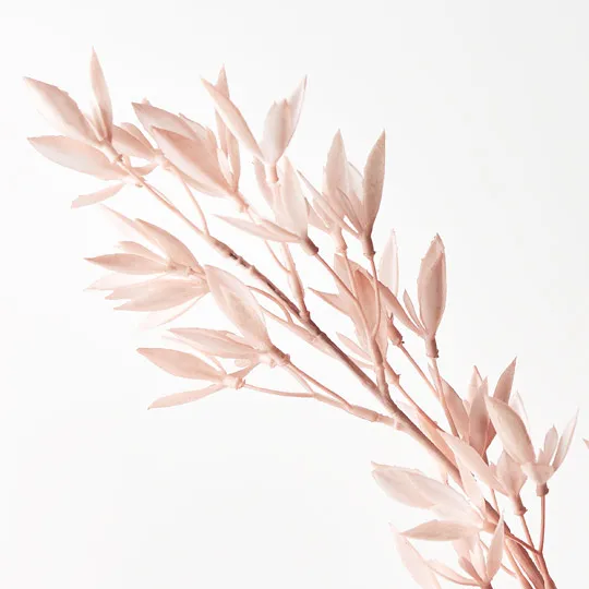 Michelia Spray Light Pink 73cml - Image 2