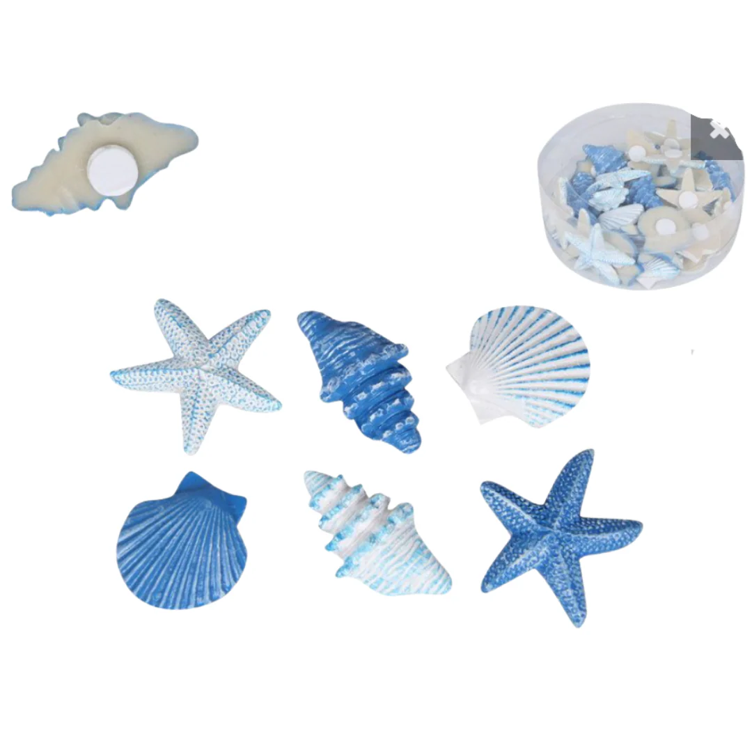 Mini Craft Shells Assorted - Image 2