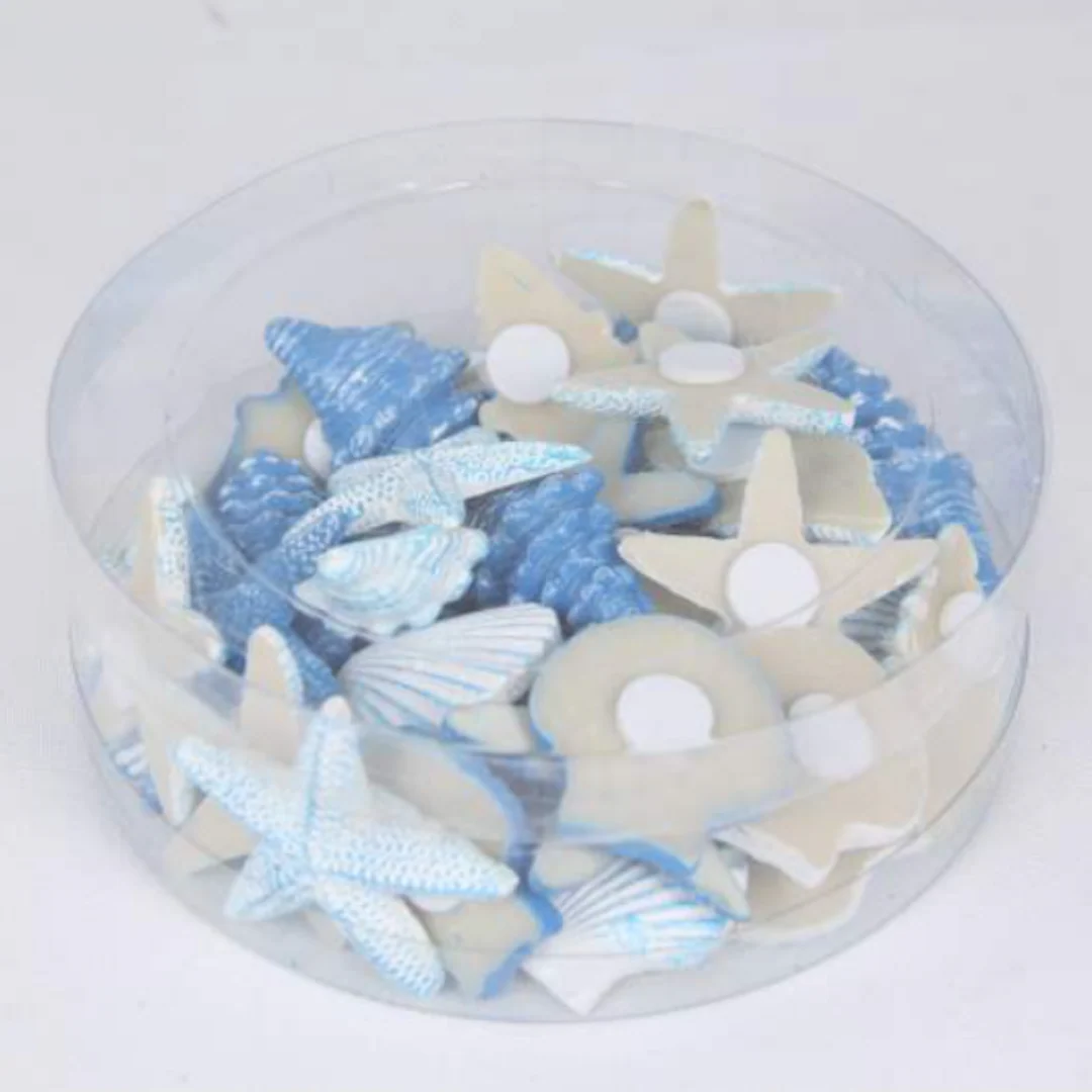 Mini Craft Shells Assorted - Image 3