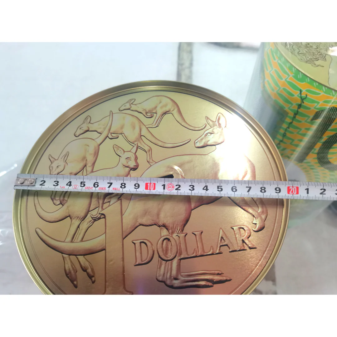 Money Tin Aussie Designs 20x34.5cm - Image 7