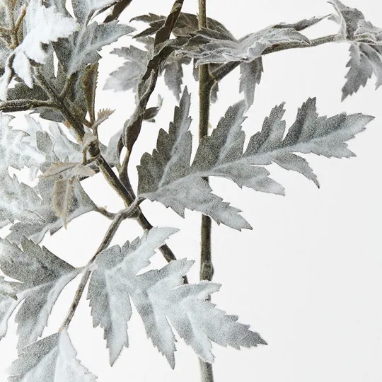 Parsley Leaf Spray Grey Green 71cml - Image 2
