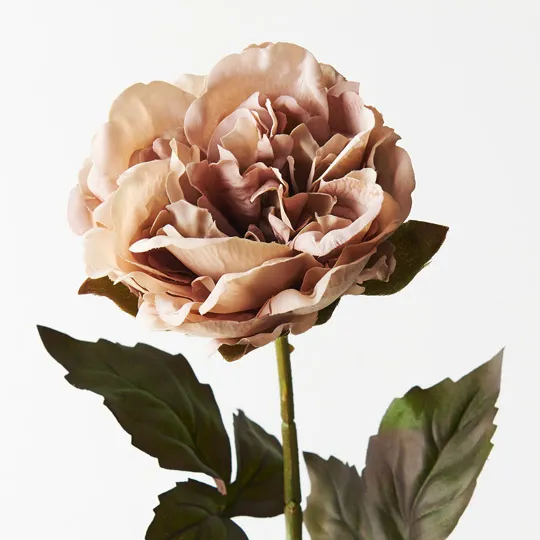 Peony Coffee 61cml - Image 2
