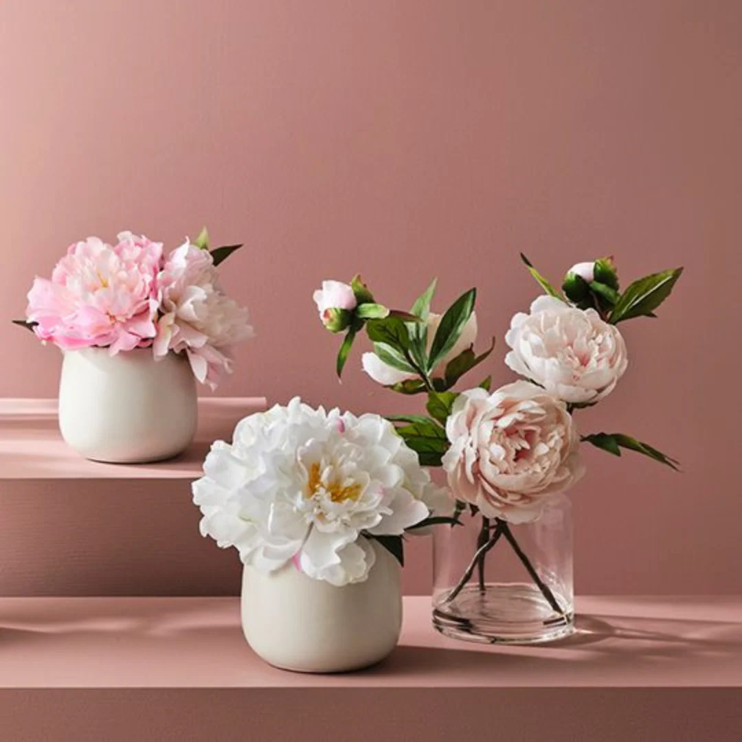 Peony Mix in Pot White 22cmh