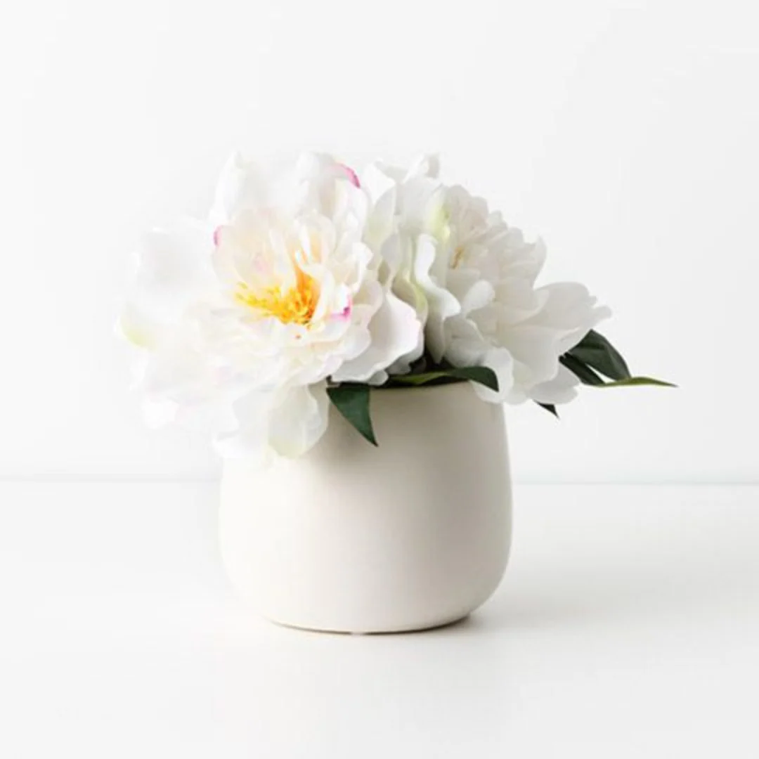 Peony Mix in Pot White 22cmh - Image 3