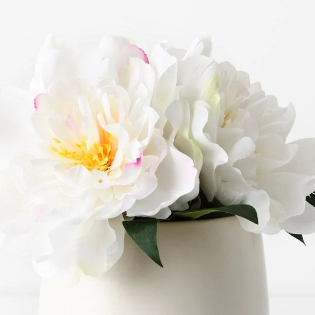Peony Mix in Pot White 22cmh - Image 4