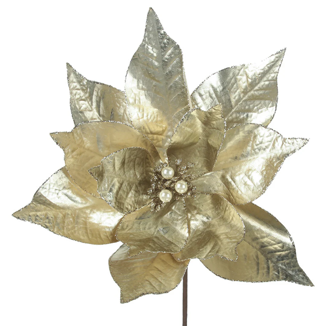 Poinsettia 32cmD with 50cm Stem Champagne