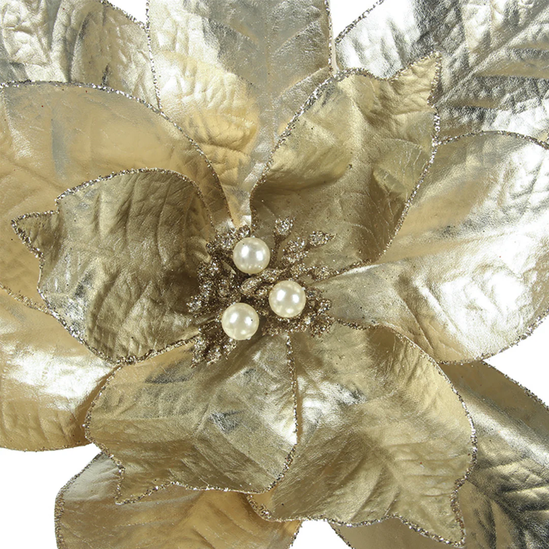 Poinsettia 32cmD with 50cm Stem Champagne - Image 2