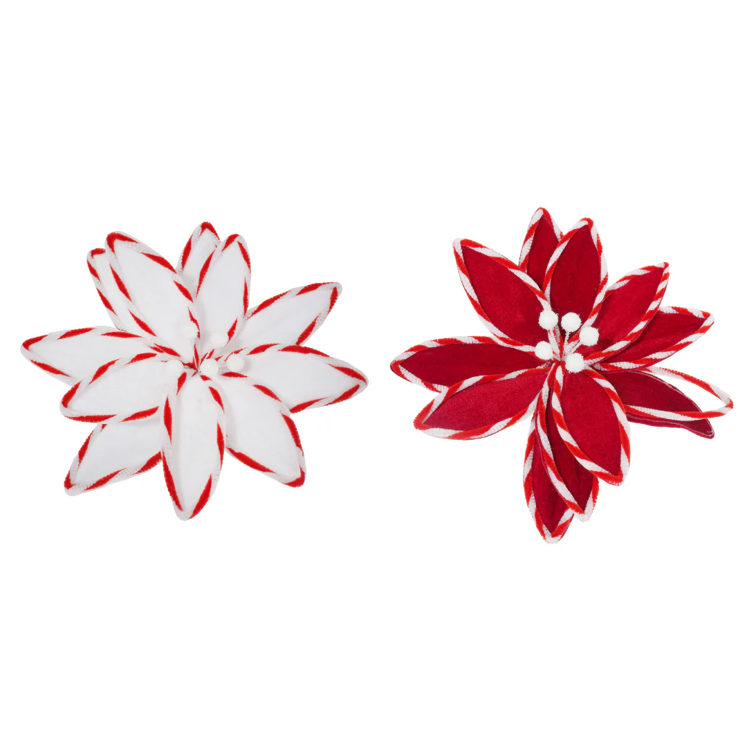 Poinsettia Candy Stripe Clip 30cm Assorted - Image 2