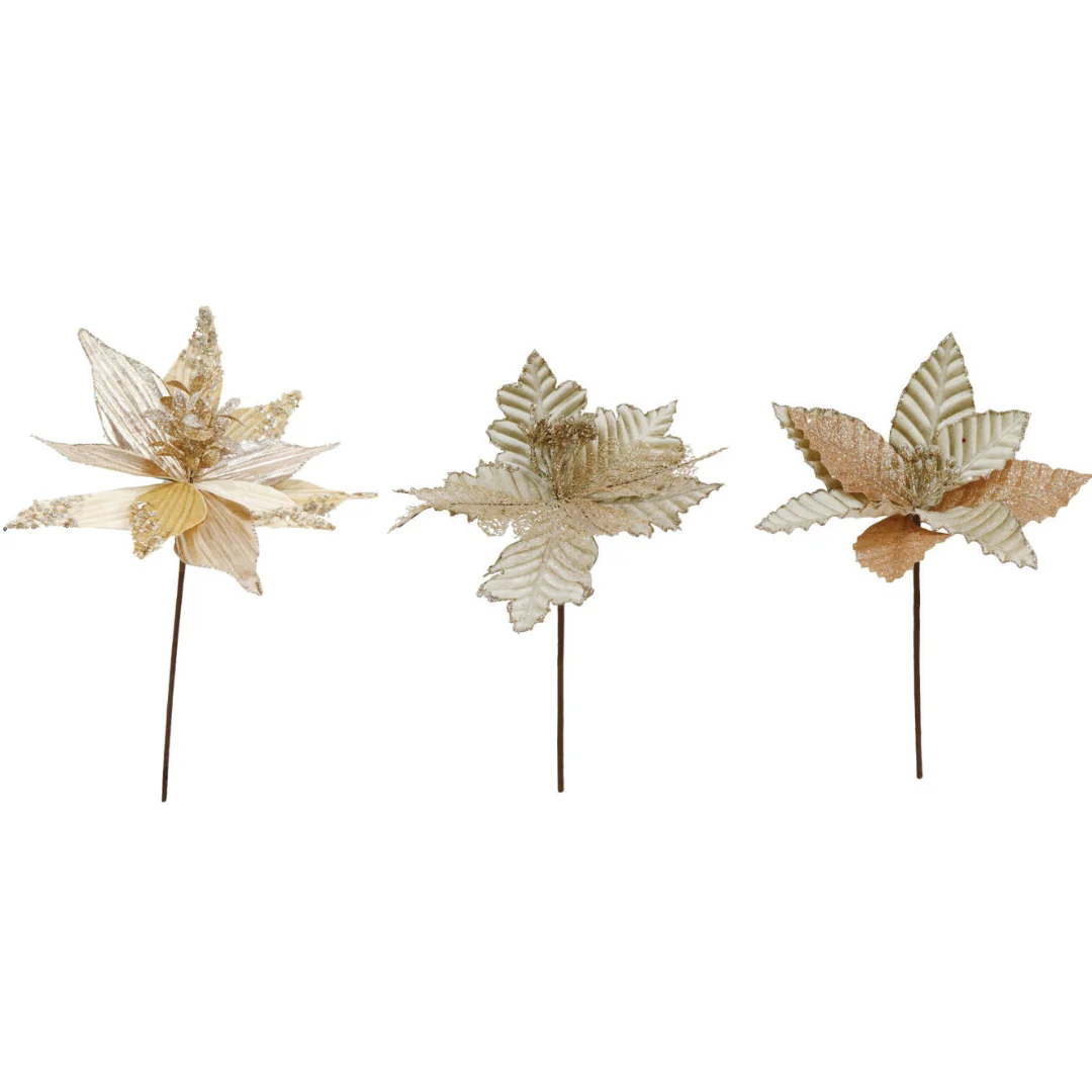 Poinsettia Velvet 25-30cm Champagne Mix